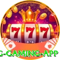 contavip King Gaming App